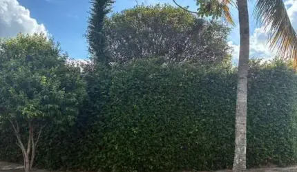 Casa para locação com 4 quartos no Jardim São Gonçalo, Campinas, SP