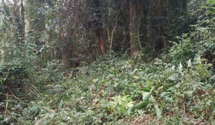 CHÁCARA A VENDA RECANTO DAS MARAVILHAS - ARAÇARIGUAMA