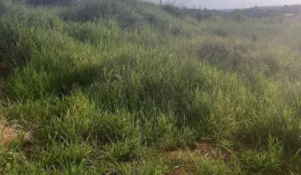 TERRENO A VENDA JACARANDÁ - CARAPICUÍBA