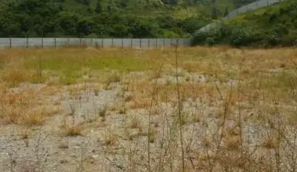 Area para Locação
