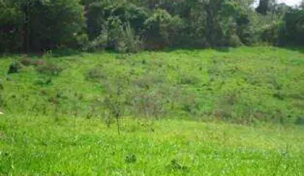Galpão 60.556,90 m² em Santana de Parnaíba