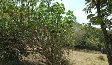 TERRENO A VENDA JARDIM SÃO PEDRO - SANTANA DE PARNAÍBA