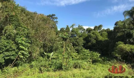 Terreno à venda, 1215 m² por R$ 1.500.000,00 - Santo Antônio - Joinville/SC