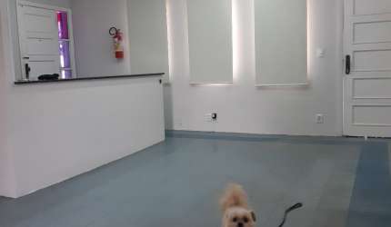 Alugo casa comercial  Jundiai !