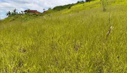 Terreno para chácara com excelente acesso por Arujá