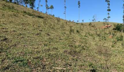 LOTES 600m² COM ÓTIMA TOPOGRAFIA PRONTO PARA CONSTRUIR