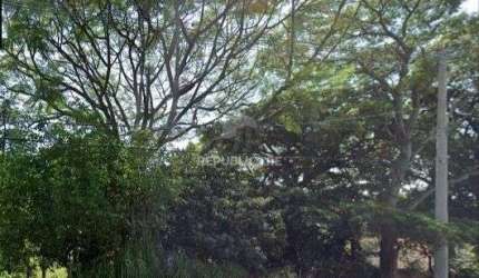 Terreno na av pinheiro borda com vista com 564n²