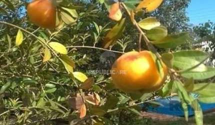 Casa em Condomínio 2 dormitórios à venda Águas Claras Viamão/RS