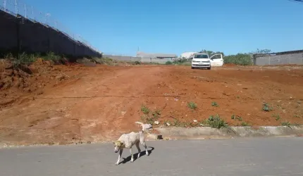 Excelente Imóvel - Terreno para investidor!