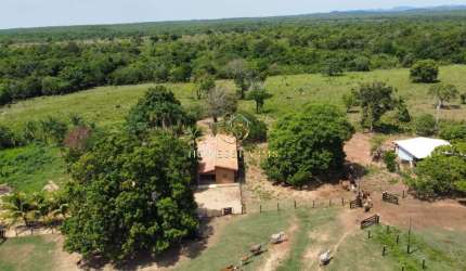 FAZENDA DUPLA APTIDÃO PLANTAÇÃO E PECUÁRIA PALMEIROPOLIS - GO