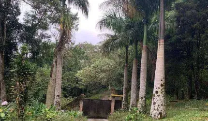 Chácara com 4 dormitórios à venda, 6500 m² por R$ 895.000,00 - Rio Grande - São Bernardo do Campo/SP