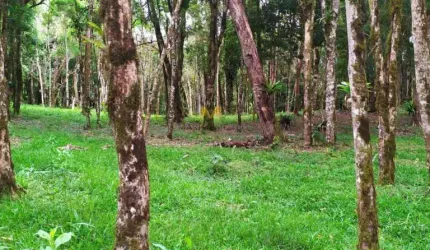 Chácara à venda no Recreio da Serra em Piraquara!!!