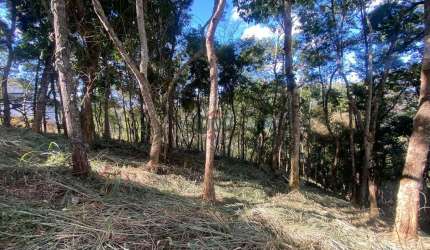 Lote / Terreno - Chácaras Passos Del Rey