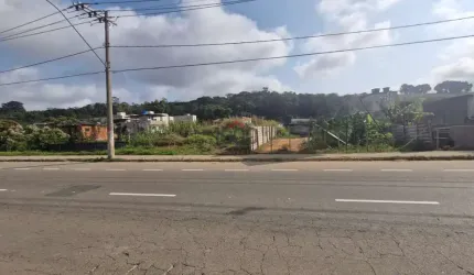Lote / Terreno - São Pedro