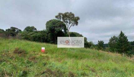 Terreno Ponta Grossa- 909 m² - Bairro Estrela -