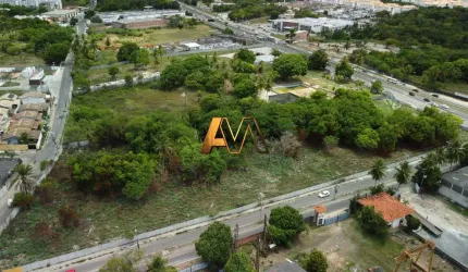 TERRENO EM ABRANTES
