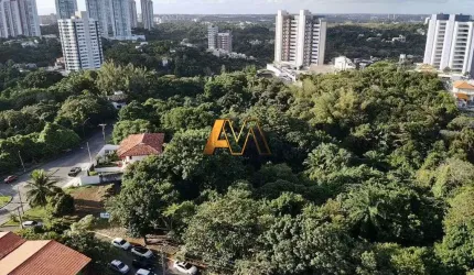 TERRENO EM PATAMARES