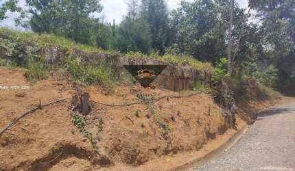 Terreno para Venda em Suzano, Vila Ipelândia