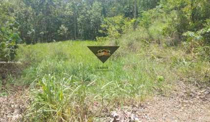 Terreno para Venda em Suzano, Vila Ipelândia