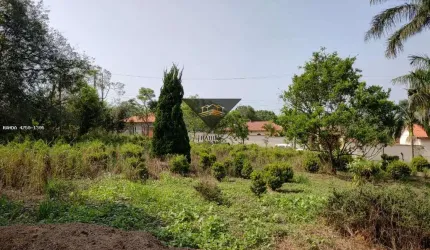Terreno para Venda em Suzano, Chácara Duchen
