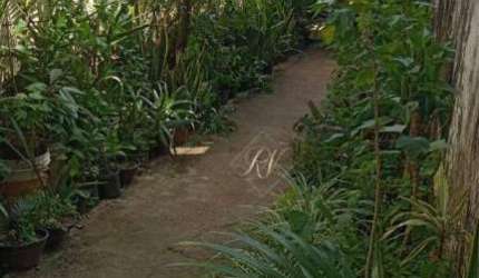 Terreno à venda, 400 m² - Aparecida - Santos/SP !!