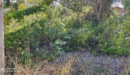Terreno à venda, 1000 m² por R$ 160.000,00 - Condomínio Vale Do Luar - Jaboticatubas/MG