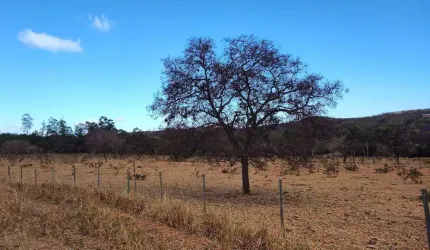Lançamento espetacular de fazendinhas de 20.000 m2 próximo à Serra do Cipó. Imperdível!!!