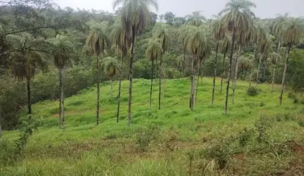 Área à venda, 110000 m² por R$ 380.000,00 - Zona Rural - Jaboticatubas/MG