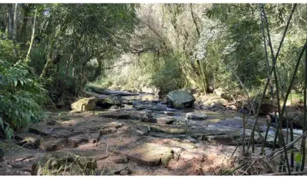 Sítio / Chácara para Venda no bairro São Jacó em Nova Petrópolis, 20000 m² de área total,
