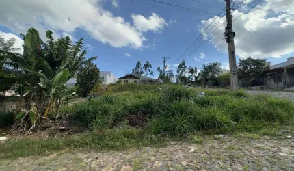 Terreno para Venda no bairro Floresta em Sapiranga, 350 m² de área total,