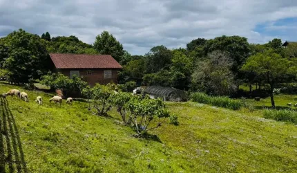Sítio / Chácara para Venda no bairro Serra Grande em Três Coroas, 2 quartos, 700 m² privativos,