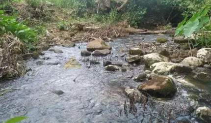 Sítio / Chácara para Venda no bairro Zona Rural em São Francisco de Paula, 100000 m² de área total,