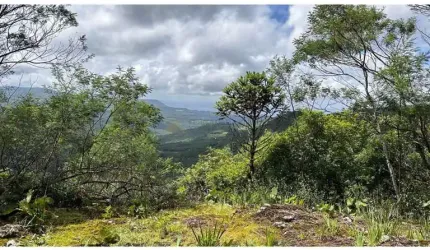 Terreno para Venda no bairro Mato Comprido em Morro Reuter, 1000 m² privativos,