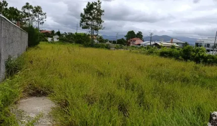 Terreno de frente pro mar na Pinheira
