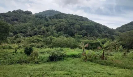 Chácara / sítio à venda na Caminho do Morro dos Caboclos, 50, Campo Grande, Rio de Janeiro, 2911 m2 por R$ 259.900
