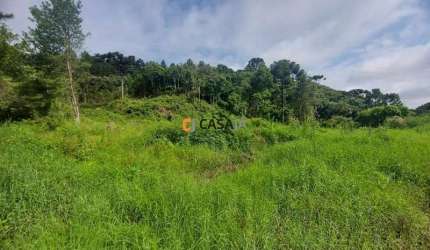TERRENO FRENTE BR 277