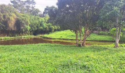 Lindo sitio, natureza exuberante, para amantes da natureza