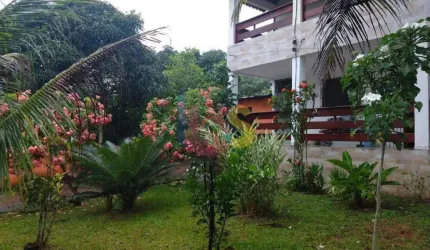 VENDO SÍTIO NA ROÇA DO POVO COM 1,29 HA