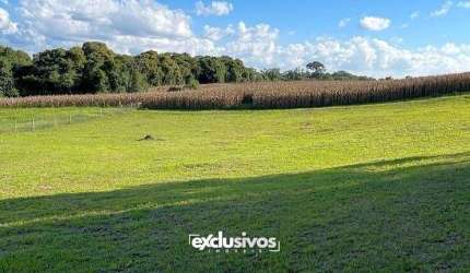 Sítio Quinta da Bela Vista com 3.527 m² à venda em Campo Alegre