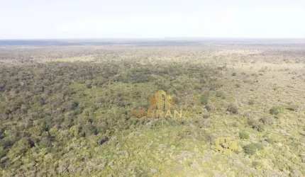 Terreno à venda no Piauí, 1615 Hectares por R$ 7.267.500