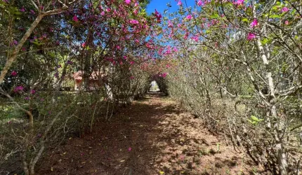 Casa tipo para venda com 3 quartos, sendo 1 suíte, 235m²