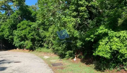 Terreno no condomínio Praia Bella com área 700m2  plano em Praia do Forte.