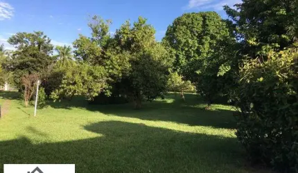 Terreno condominio Encontro das Aguas 6.800 m2 plano e centralizado arvores frutiferas