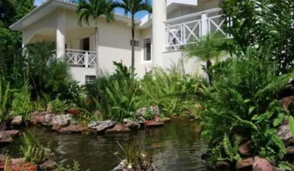 Bela Mansão no Encontro das Águas , Lagoa e lago de carpas , 2.200.000 Euros