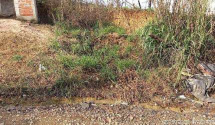 Oportunidade Única em CAPIVARI - SP | Tipo: Terreno | Negociação: Venda Direta Online  | Situação: Imóvel
