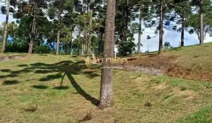 Chácara Aldeia das Araucárias