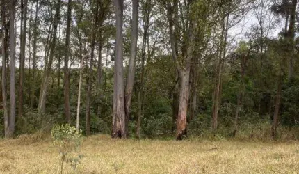 Terreno à venda, 125 m² por R$ 79.000,00 - Jardim Primavera - Itaquaquecetuba/SP