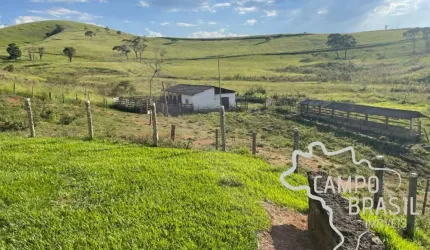 FAZENDA 127 HECTARES ! ÓTIMA LOCALIZAÇÃO E TOPOGRAFIA MÉDIA !