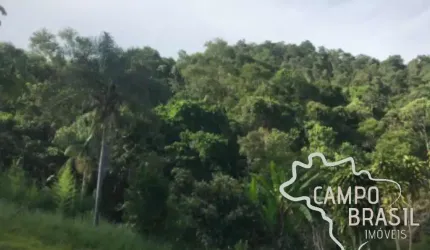 ÁREA RURAL 10 ALQUEIRES EM SÃO FRANCISCO XAVIER !
