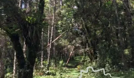 ÁREA RURAL 42.249M² EM SAPUCAÍ MIRIM!